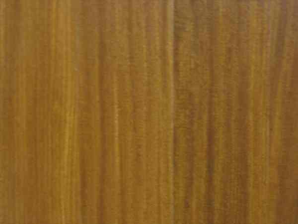 afromorsia-2